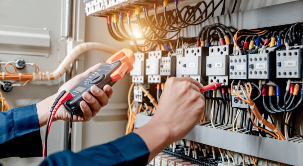 Best Local Electrician Companies  in Safety Harbor, FL
