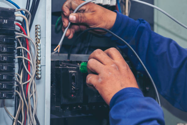 Best Affordable Emergency Electrician  in Safety Harbor, FL