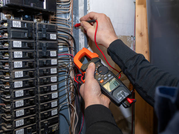 Best Licensed Electrician  in Safety Harbor, FL